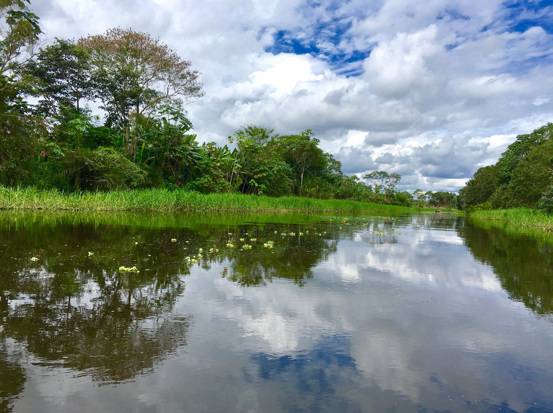 Amazon River景点图片