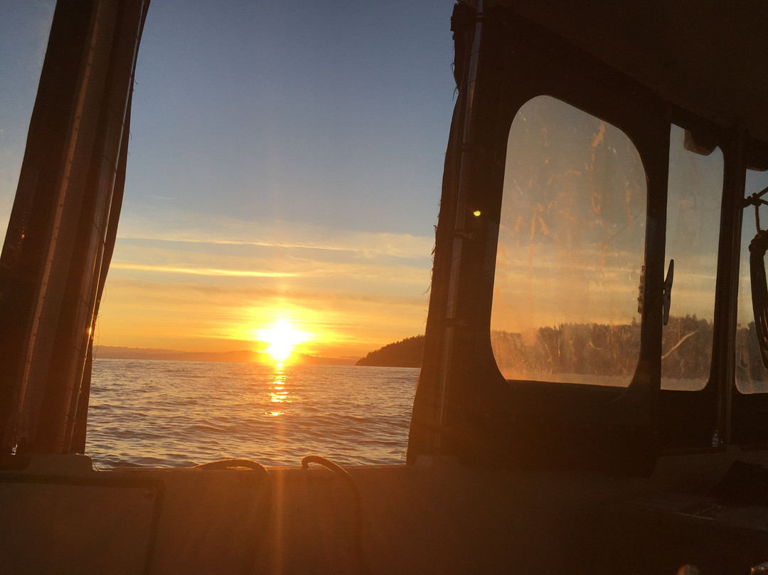 Gibsons Harbour Ferry-吉布森斯必去景点