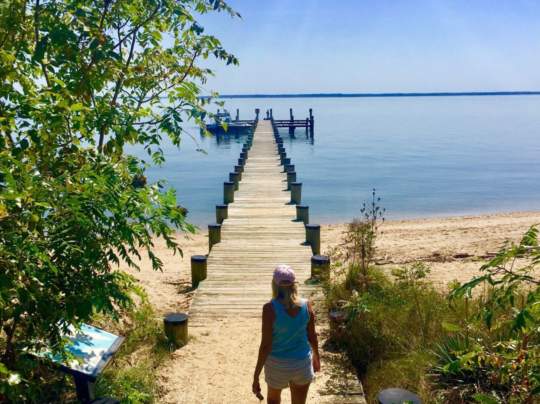 St. Clement's Island State Park景点图片