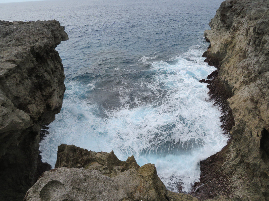 Cape Takanazaki景点图片