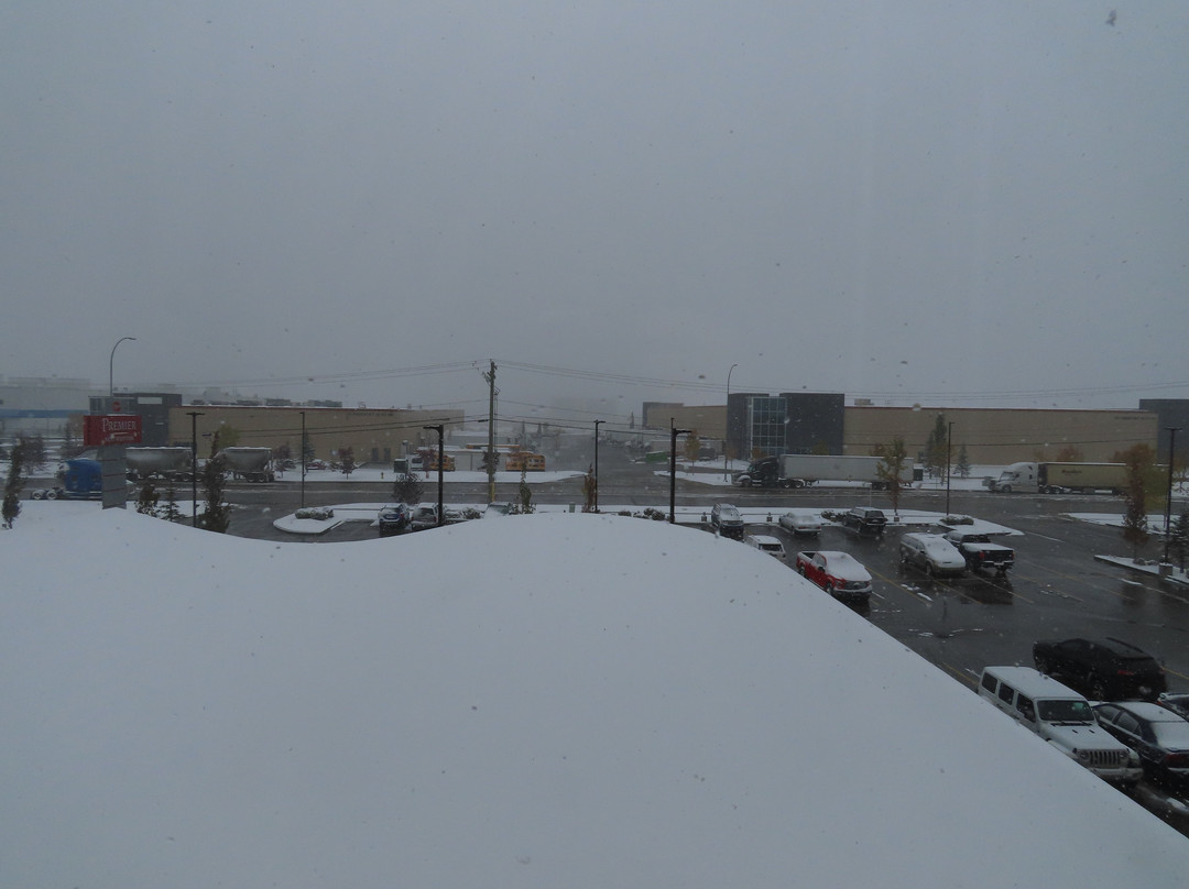 最佳西方精品及套房自由港酒店主图