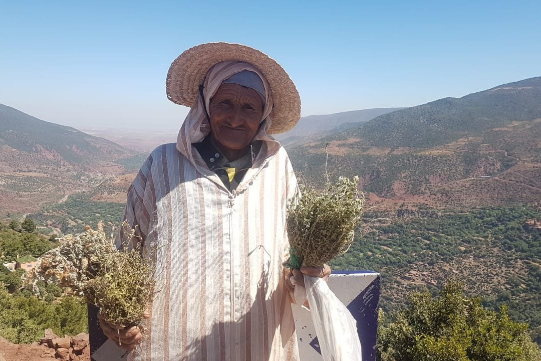 Sahara Riders-马拉喀什必去景点