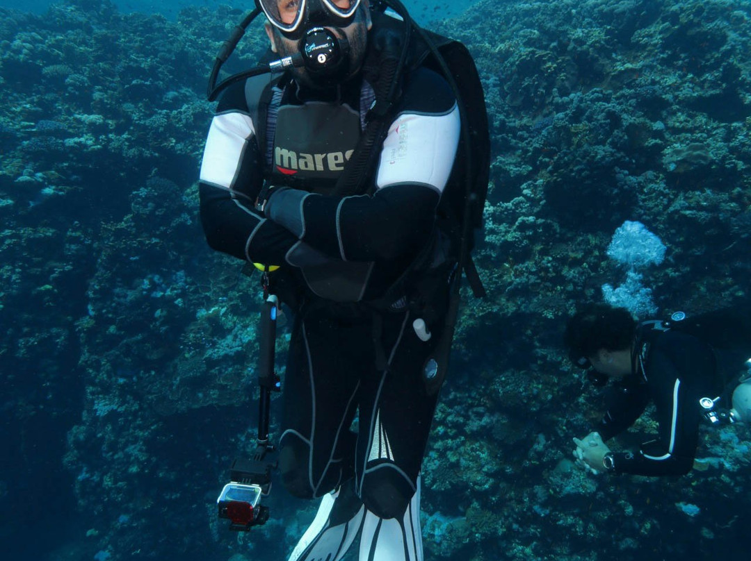 Bateel Diver-达曼必去景点