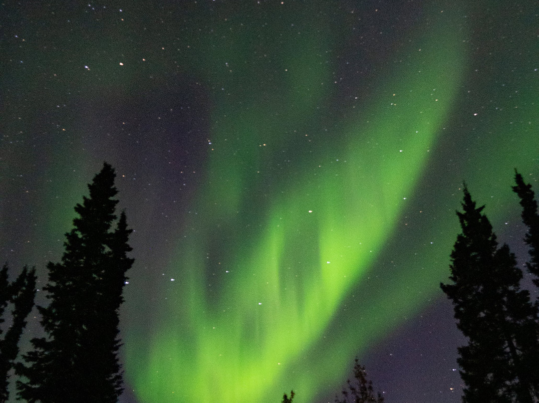 Discovery Yukon Lodgings主图