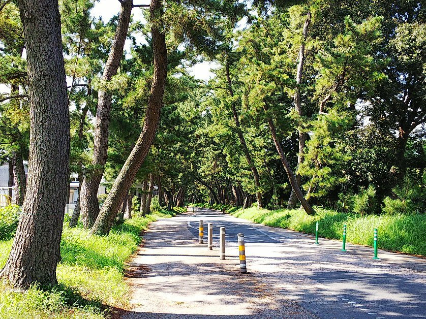 Goyu Street-丰川市必去景点
