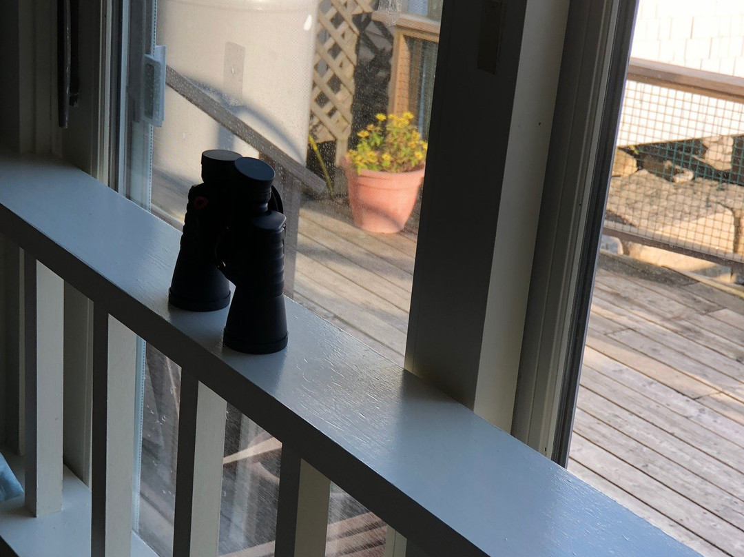 Inn on the Harbor主图