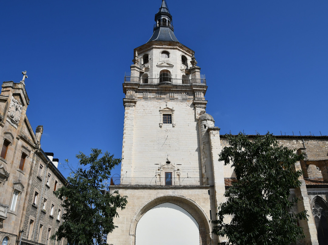 Catedral de Santa Maria景点图片