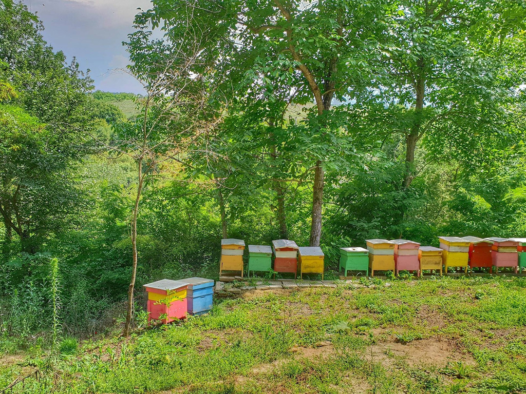 Zarapovo Honey House-Vishovgrad必去景点