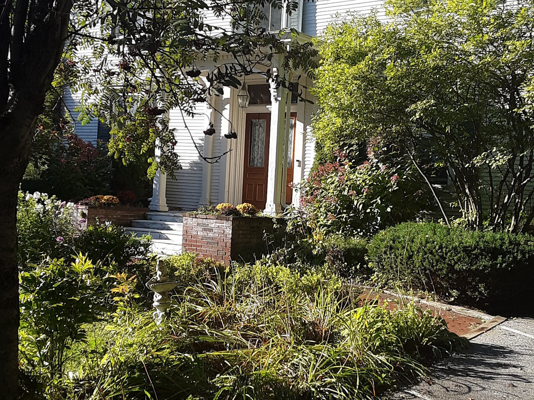 Antique Mansion B&B主图