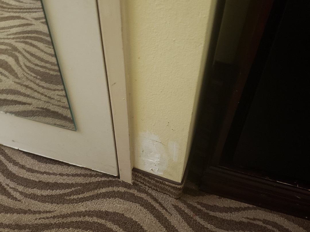 Baymont by Wyndham Griffin主图