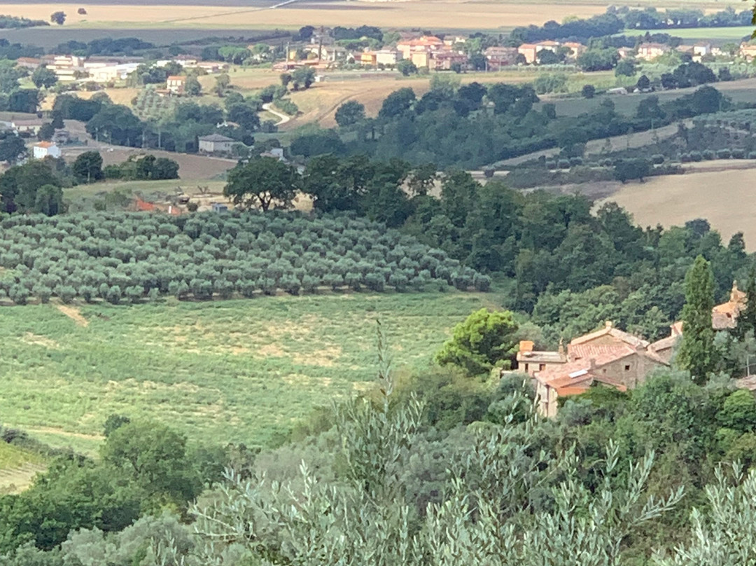 Relais Il Canalicchio主图