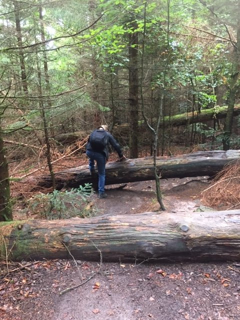 Wildnispfad-Buehlertal必去景点