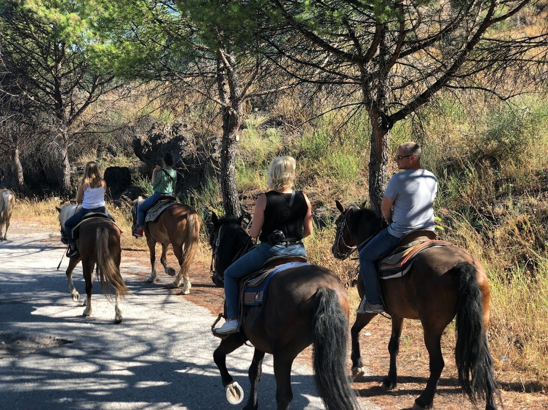 Horse Riding Tour景点图片