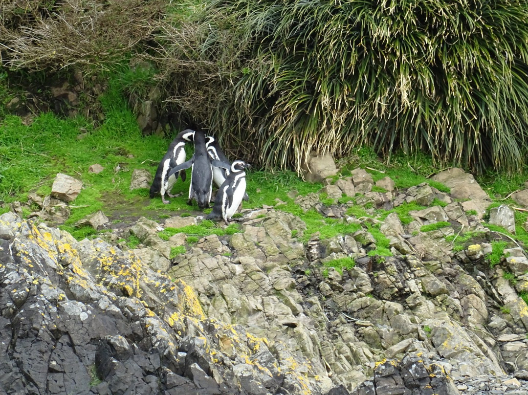 Turismo Pangue-Castro必去景点