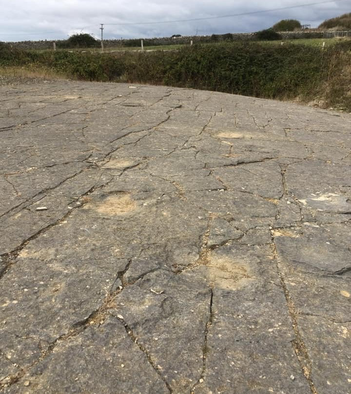 Keates Quarry Dinosaur Footprints景点图片