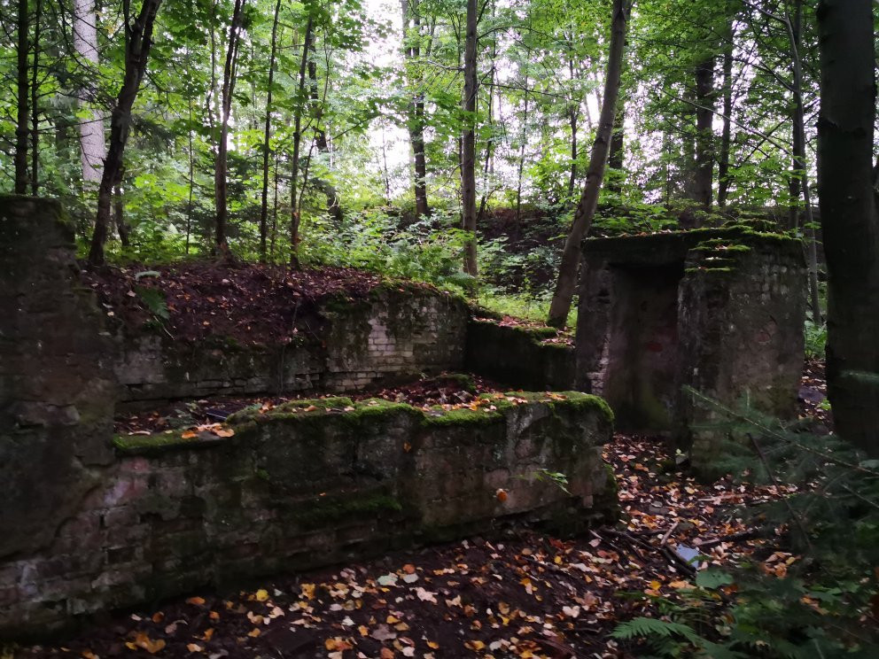 Hochwald Polowa Kwatera Heinricha Himmlera景点图片