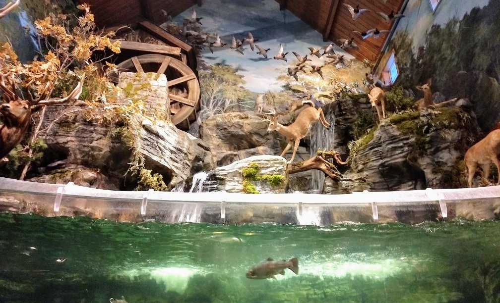 Bass Pro Shops-布兰森必去景点