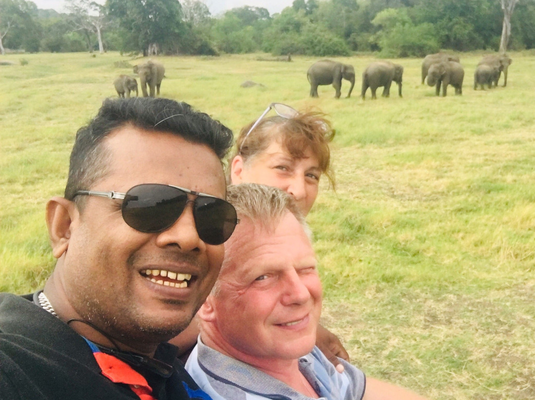 Minneriya National Park Elephant Watching Jeep Safari-哈巴拉娜必去景点