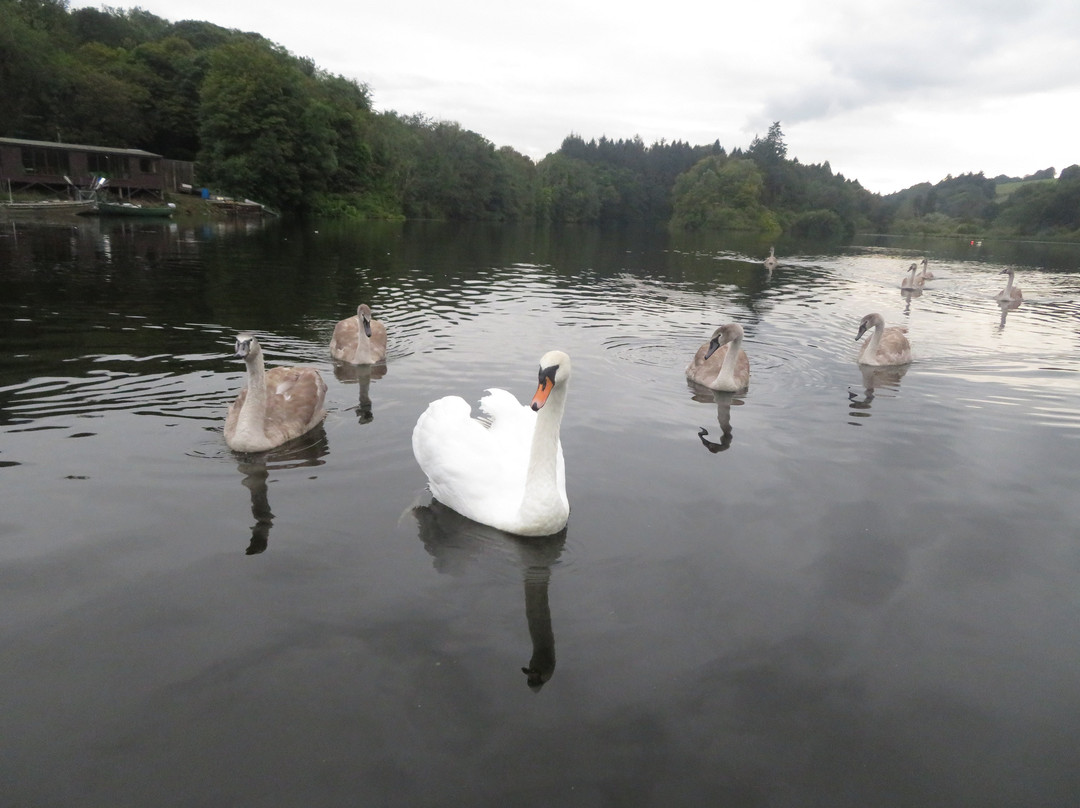Raith Lake-Kirkcaldy必去景点