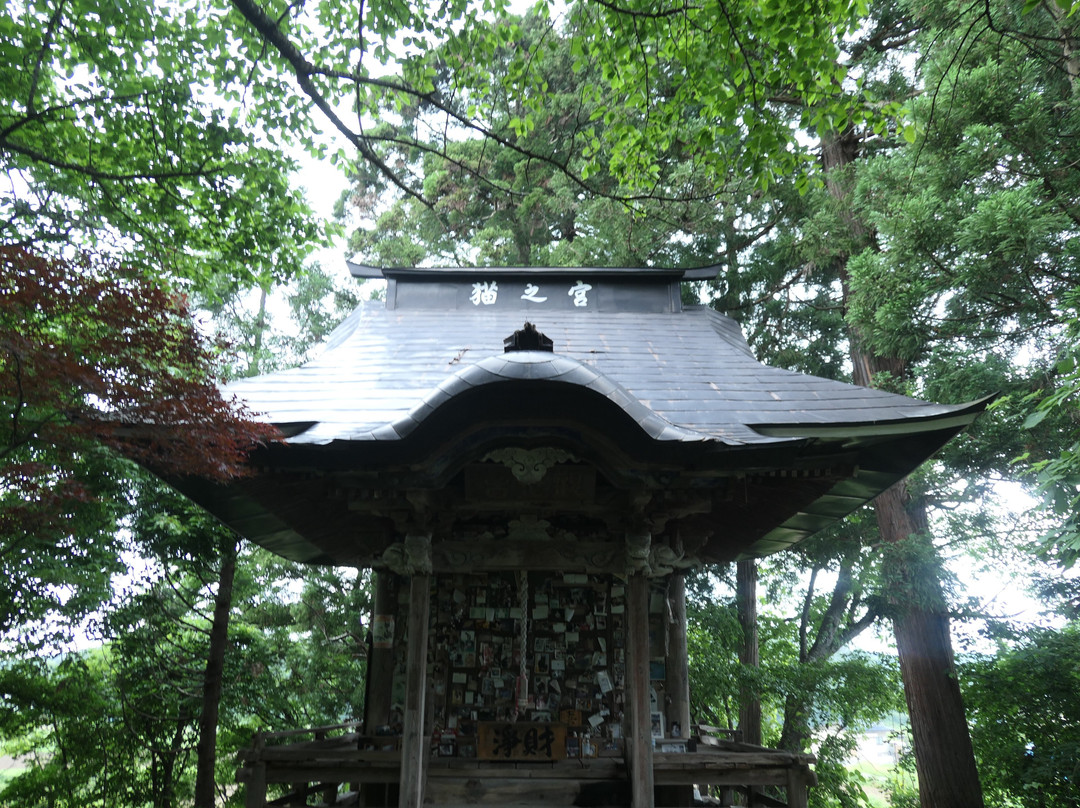 Cat's Shrine景点图片