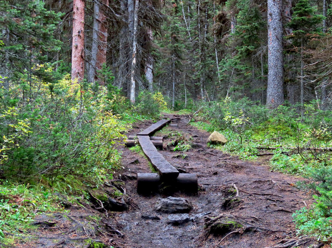 Rawson Lake Trail-卡那那斯基斯必去景点