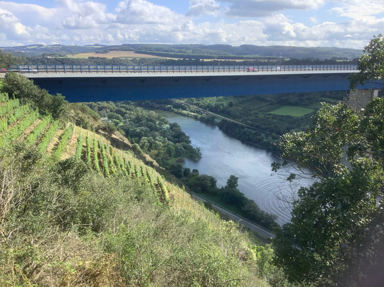 Aussichtspunkt Moseltal West-Winningen必去景点