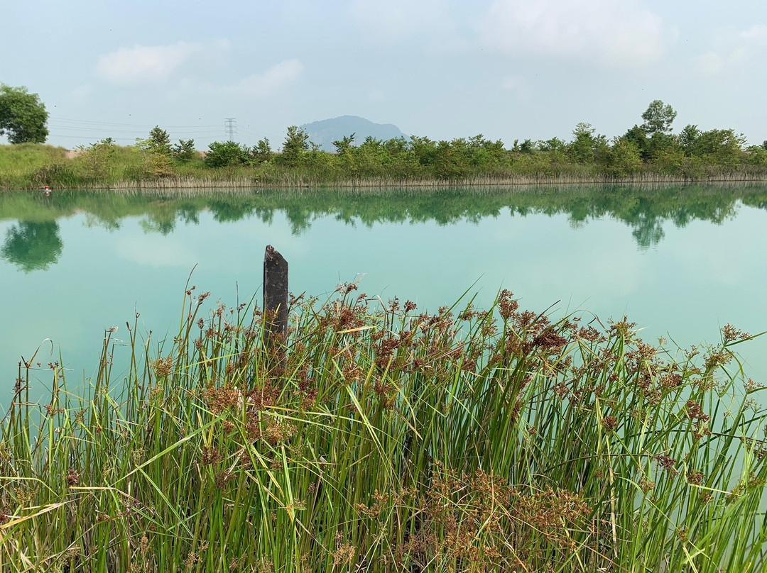 Blue Lagoon景点图片