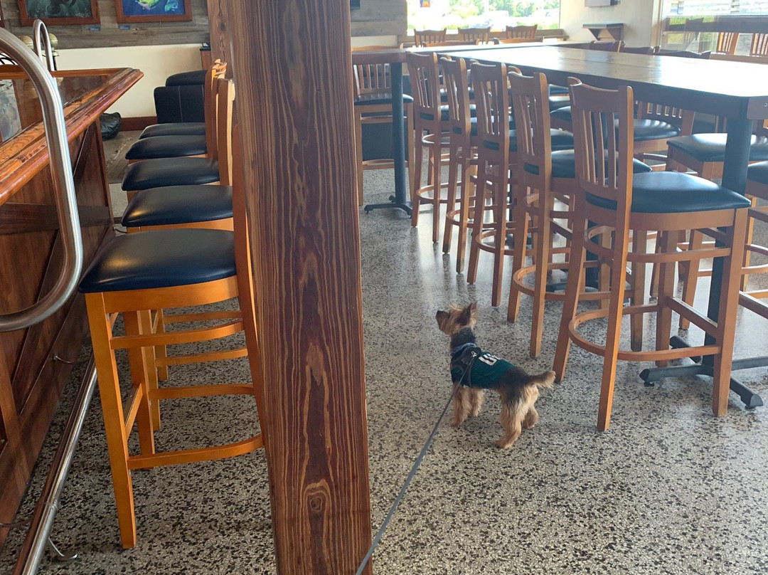 Saltwater Brewery-德拉海滩必去景点