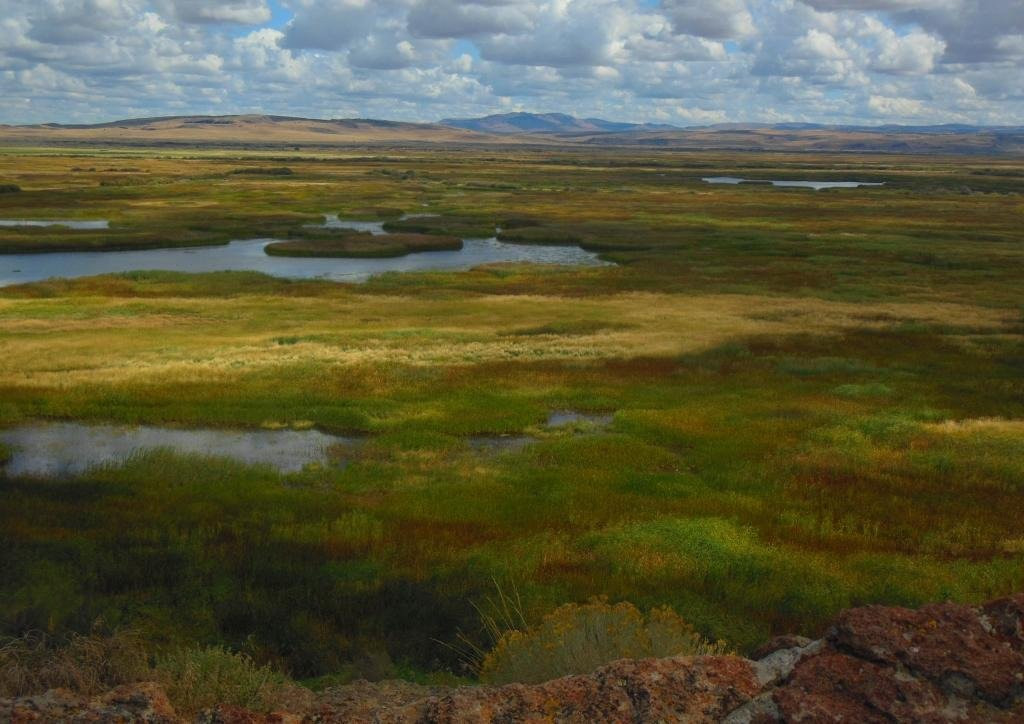 Malheur National Wildlife Refuge-Princeton必去景点