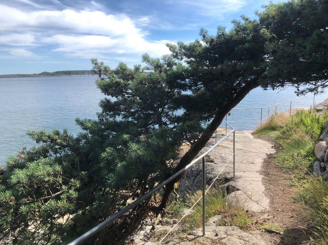 Särö Västerskog Naturreservat-孔斯巴卡必去景点