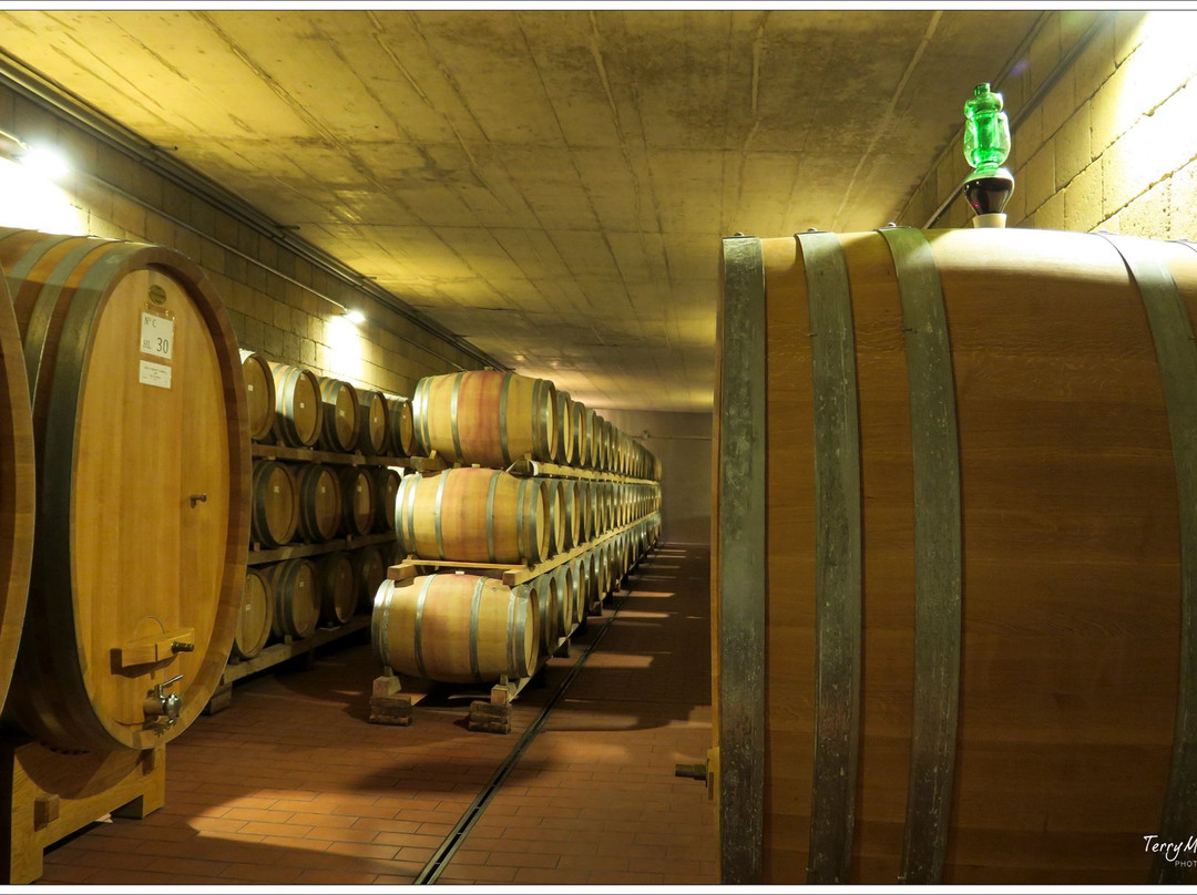 Poggio al Sole Winery景点图片