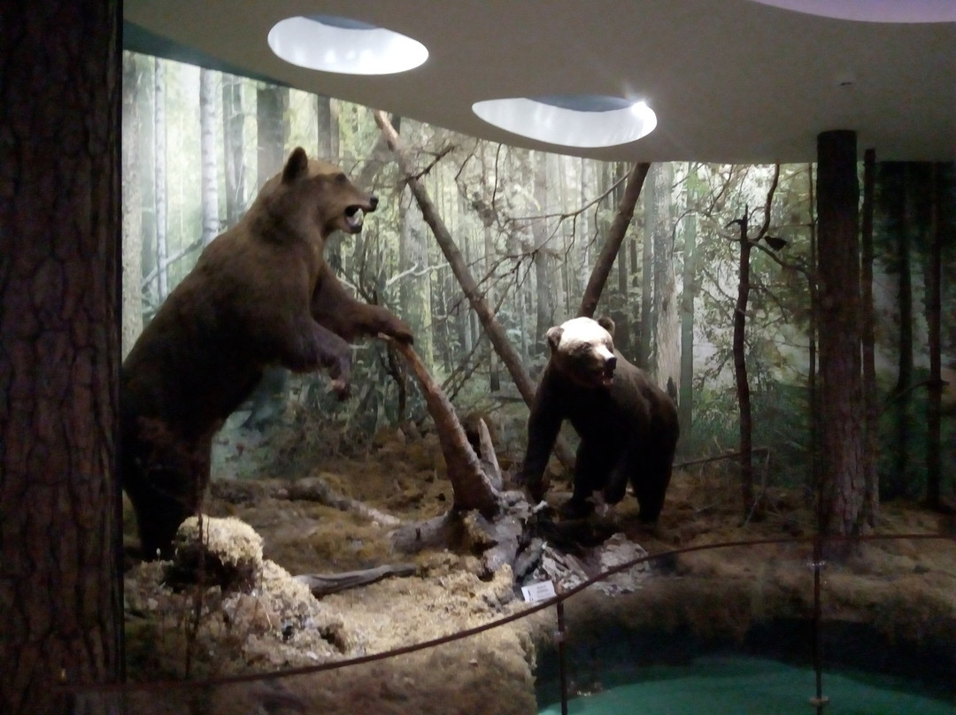 Forest Zoo-Kamianiuki必去景点