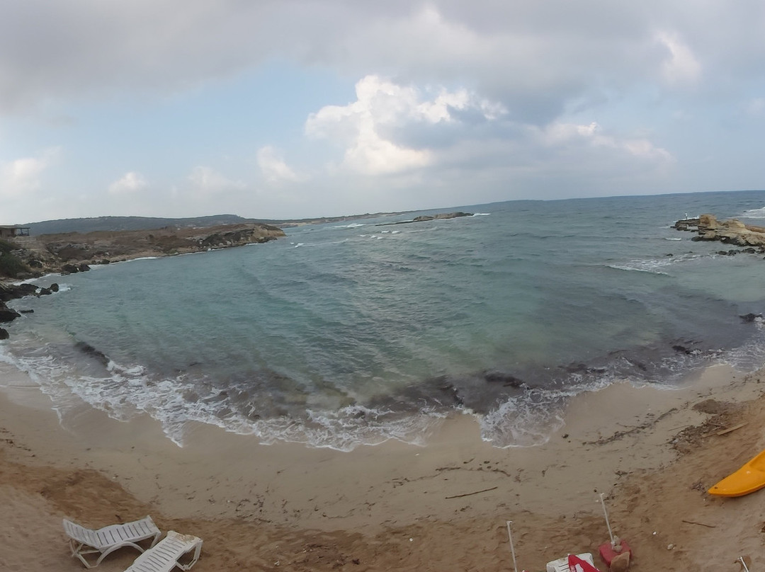 Oasis At Ayfilon主图