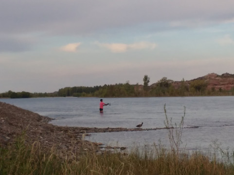 Senillosa旅游攻略图片
