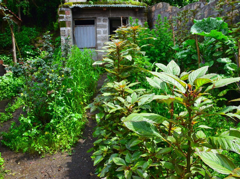 Lasta Garden Retreat-拉利贝拉必去景点
