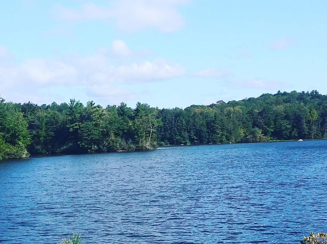 Burr Pond State Park-托灵顿必去景点