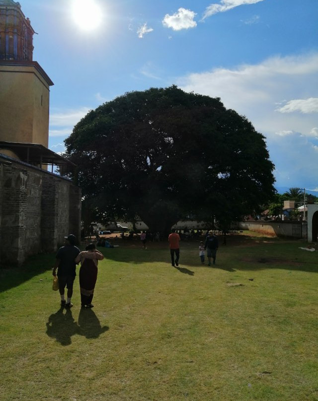 Santa Ana Zegache Church-Santa Ana Zegache必去景点