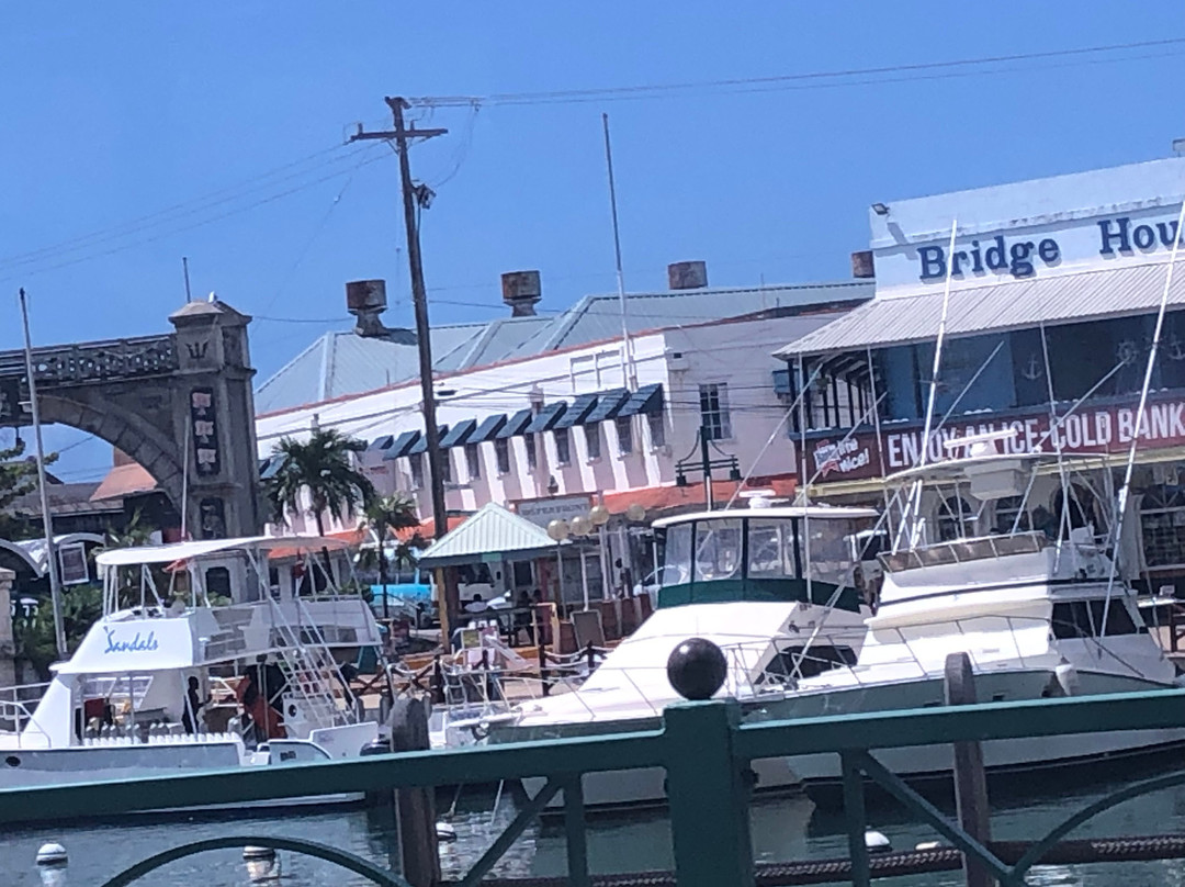 Island Routes-布里奇顿必去景点