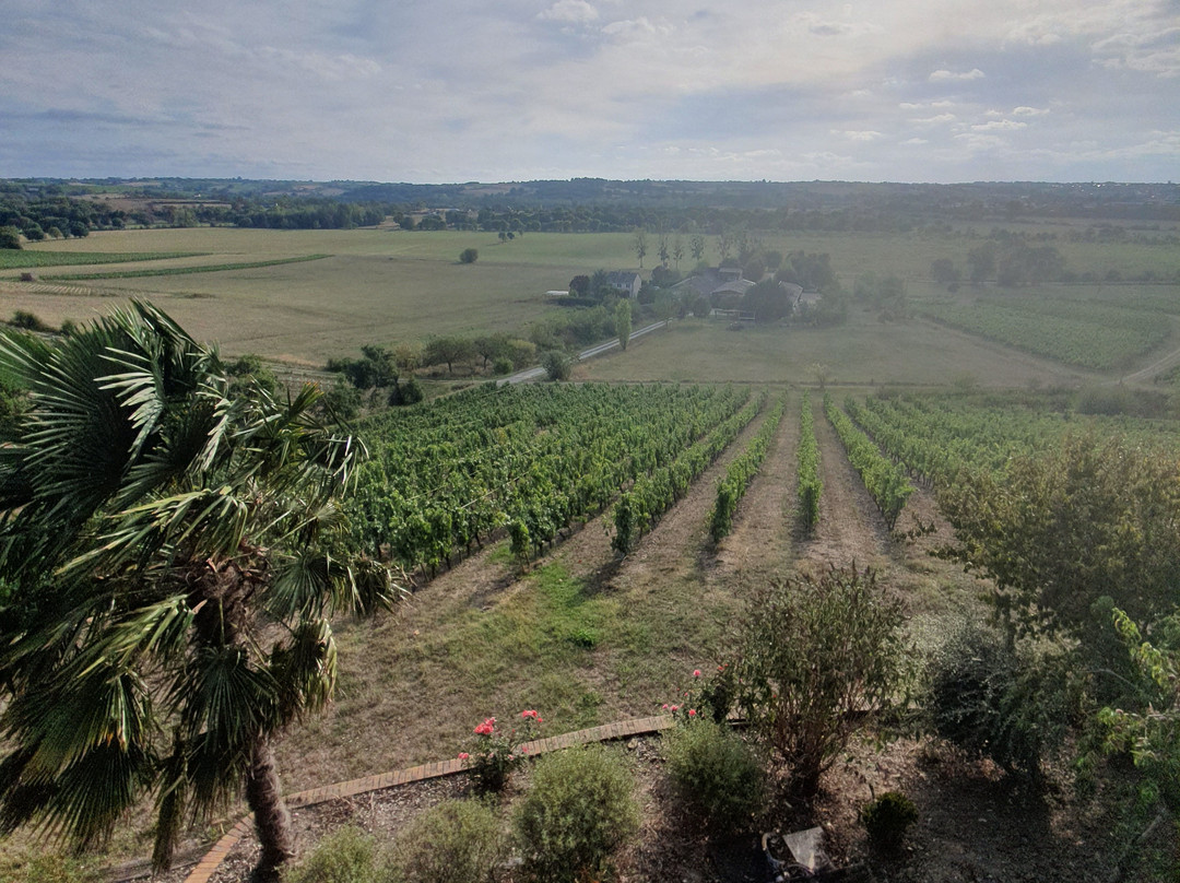 Domaine des Coteaux Blancs景点图片