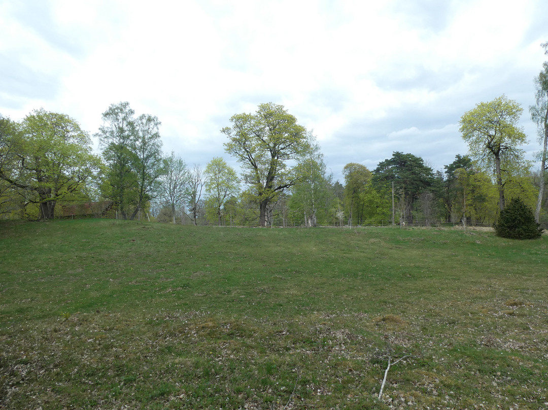Naturreservatet Braås Park