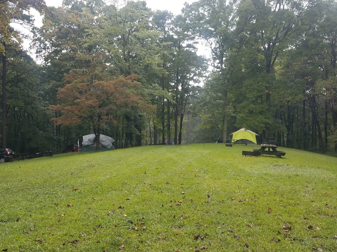 Tar Hollow State Park-Laurelville必去景点