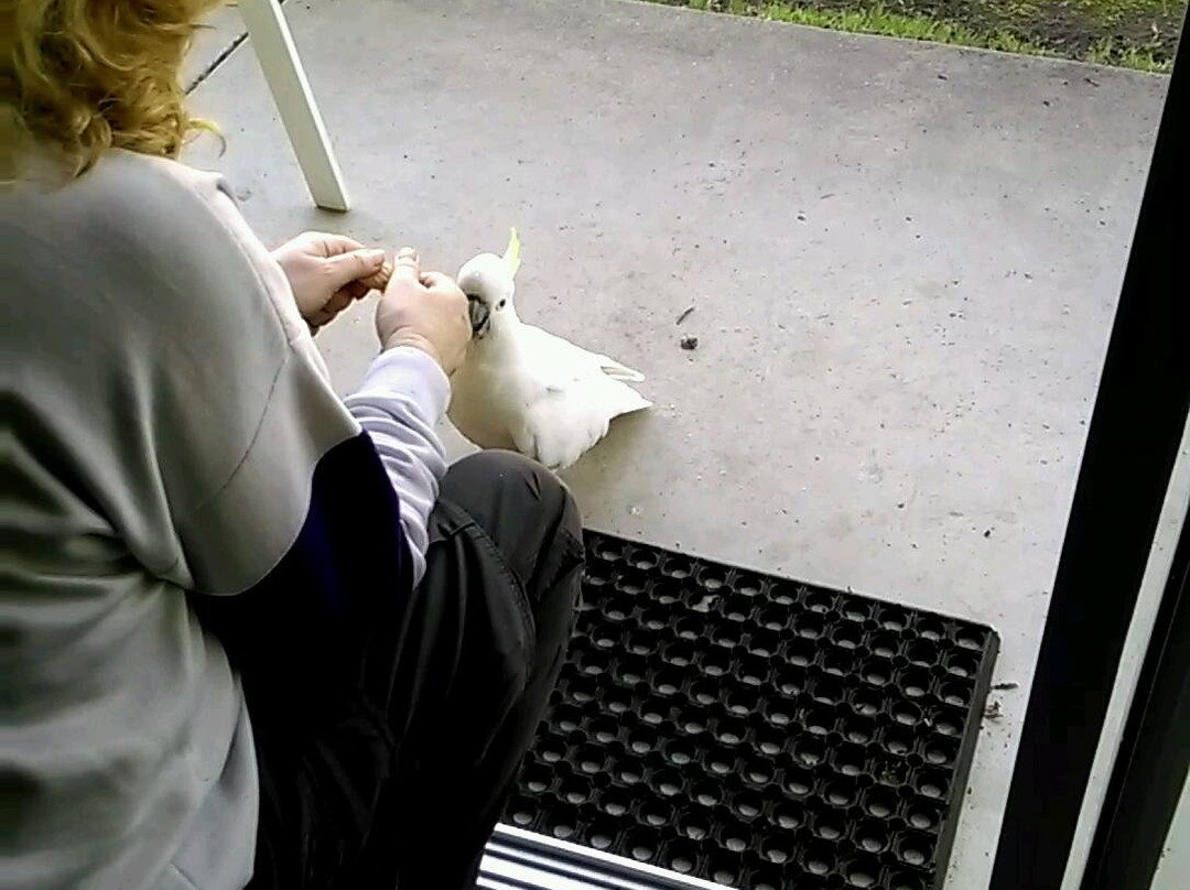 格兰坪汽车旅馆主图