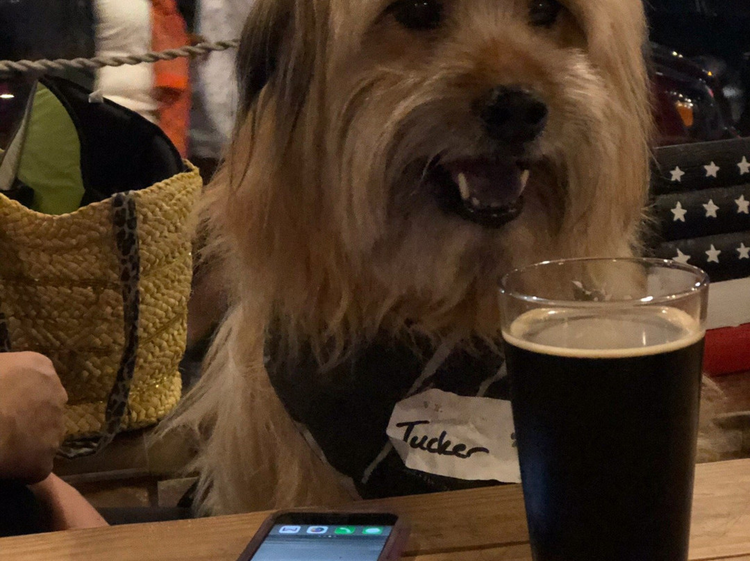 BrewSA Brewing Company-自由港必去景点