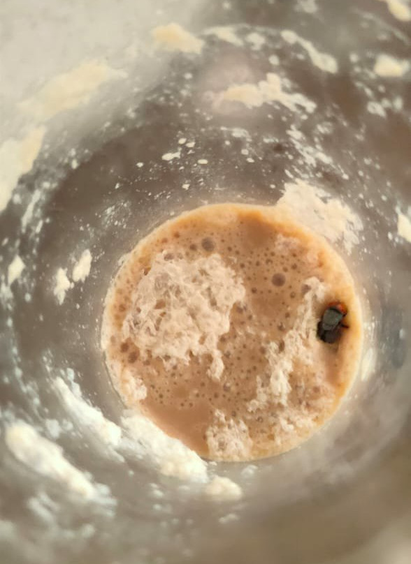 Heaven View Clarks Inn主图