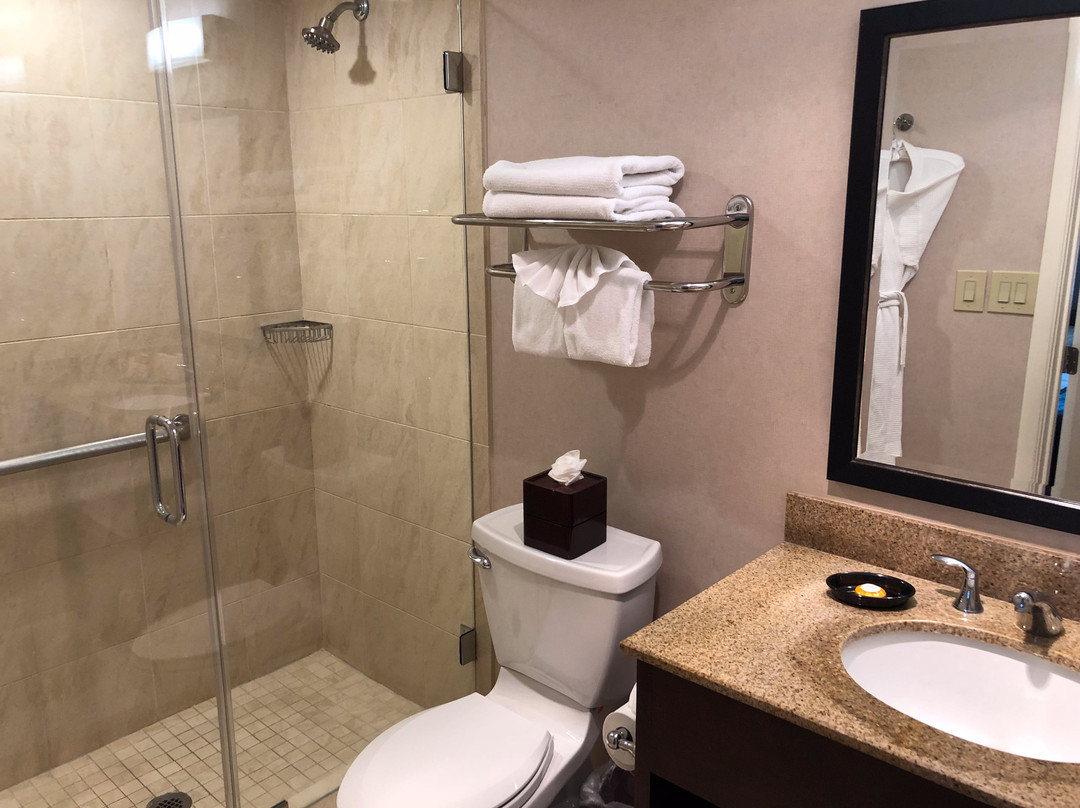 皇后大酒店主图