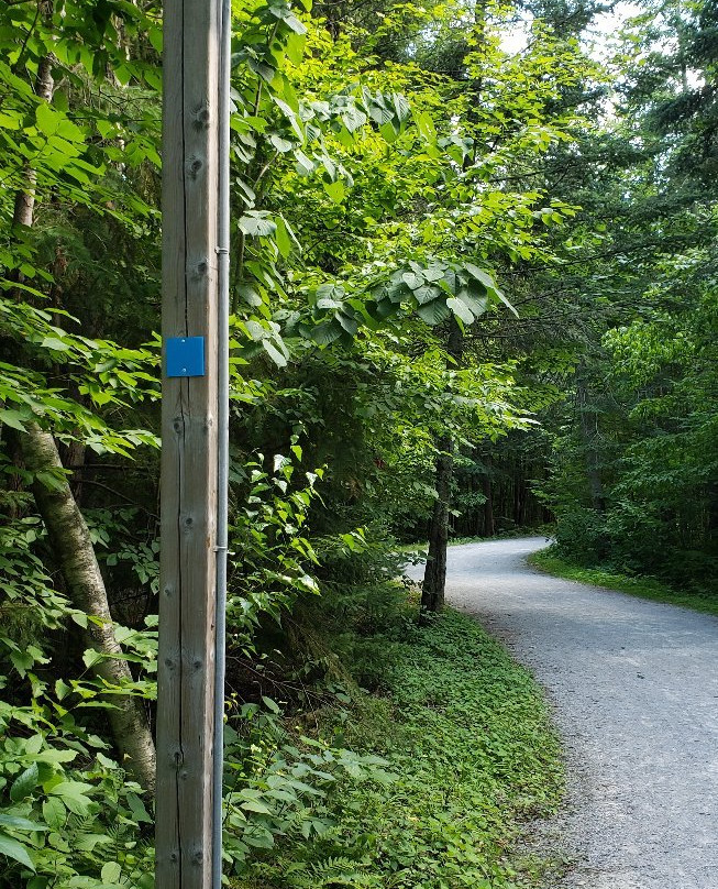 Parc Les Salines-圣亚森特必去景点