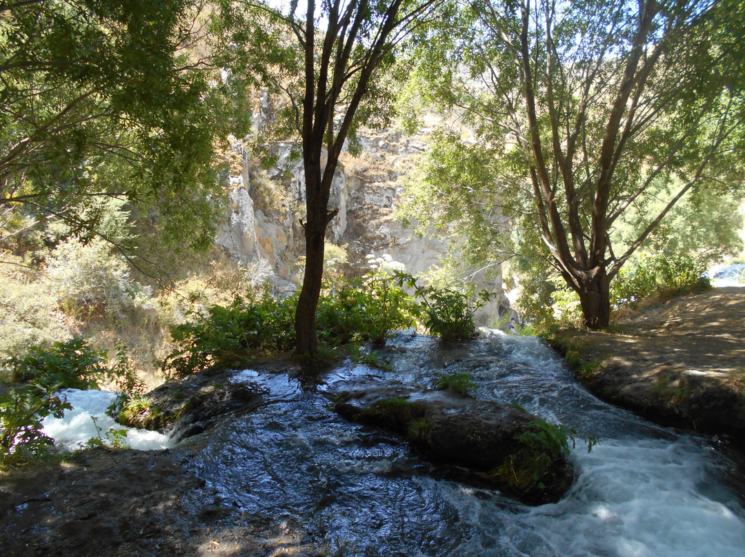 Shaki Waterfall景点图片