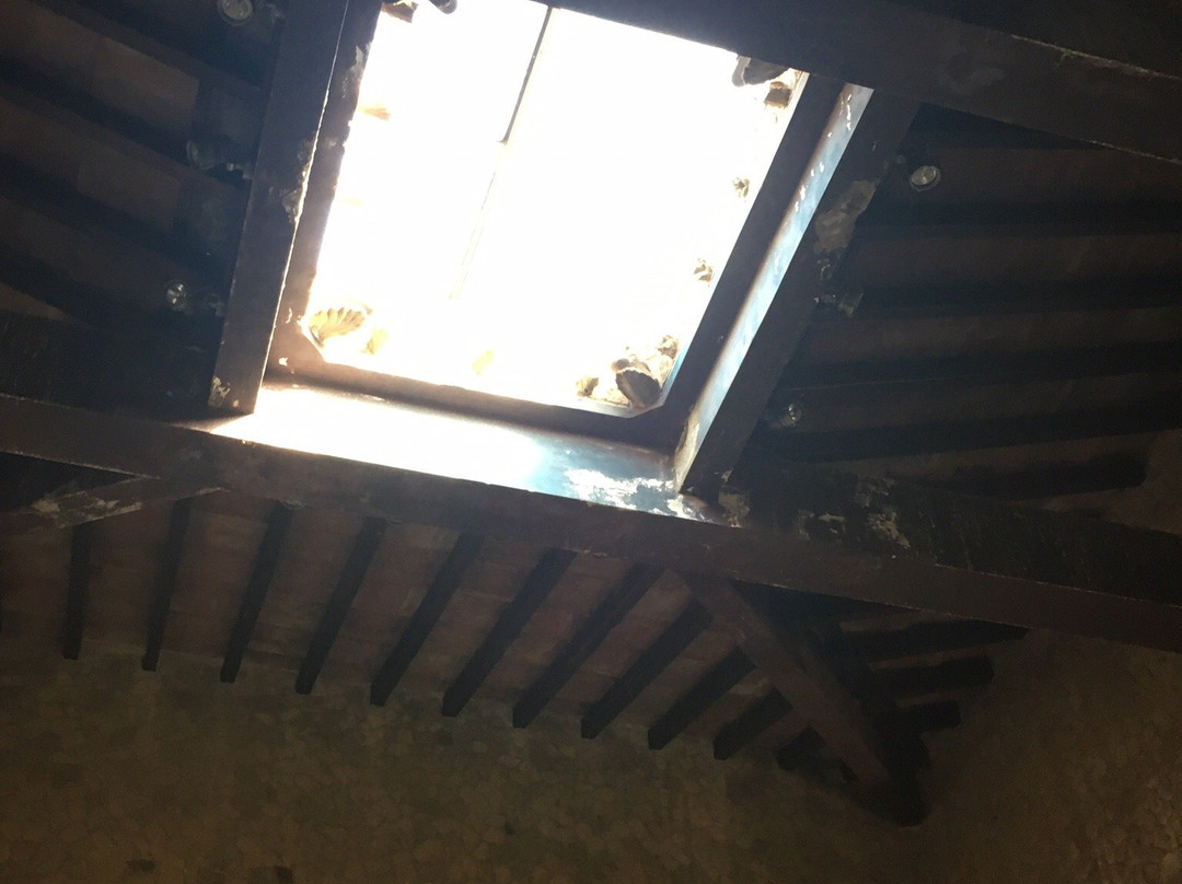 Pompei & Herculaneum Express Tours & Guides-索伦托必去景点