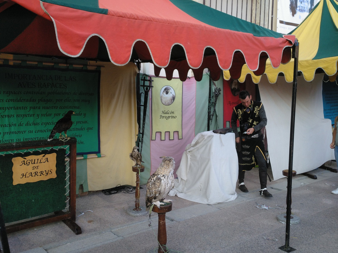 Plaza Mayor de Medinaceli-Medinaceli必去景点