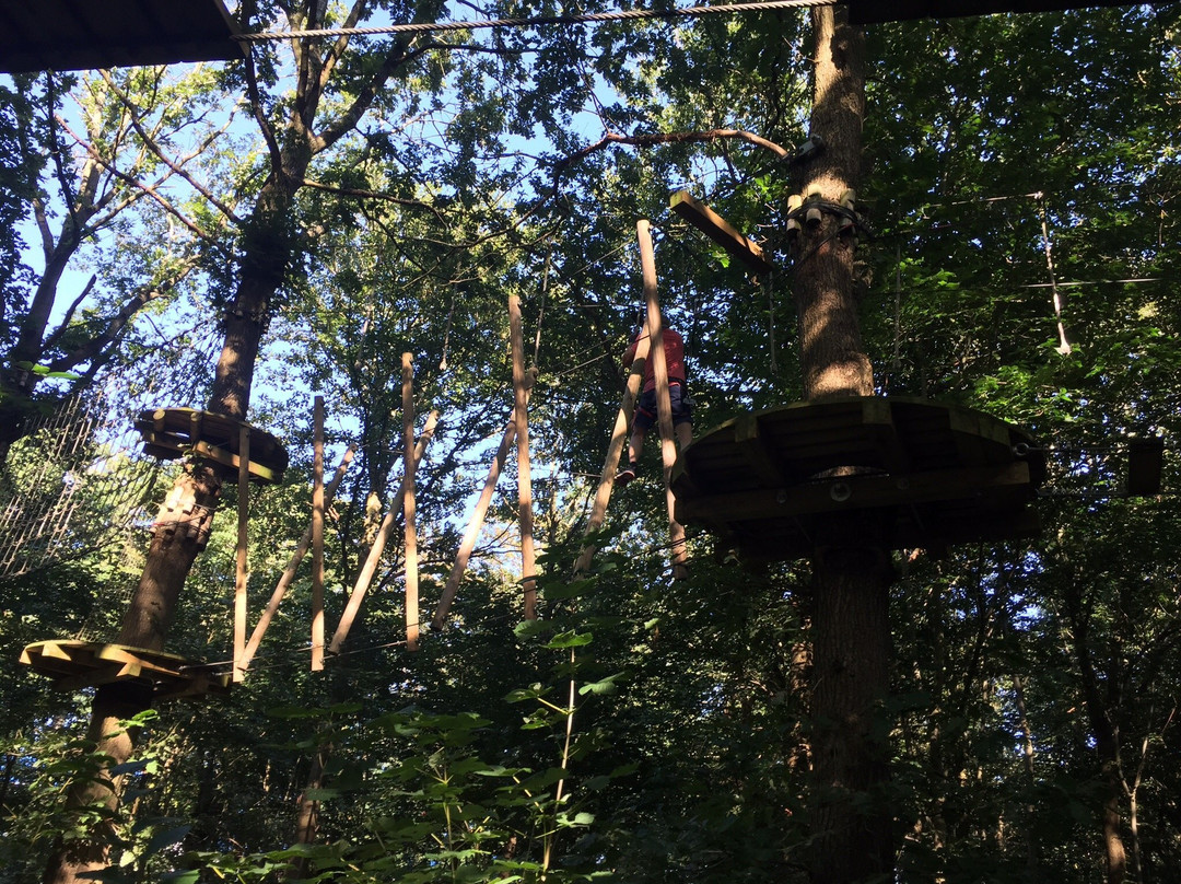 Funky Monkey Park-欧登塞必去景点